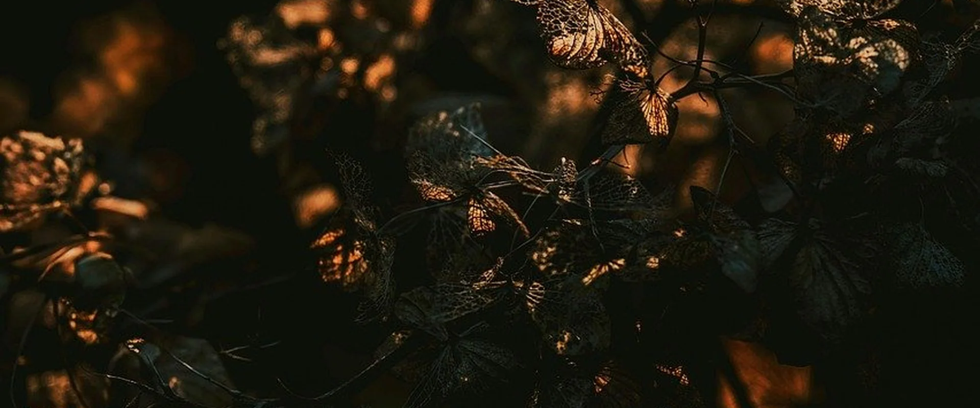 问鼎娱乐娱乐平台